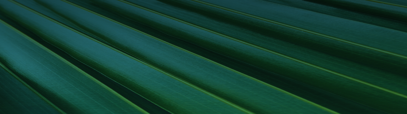 Find a doctor Banner